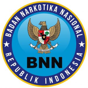 bnn1