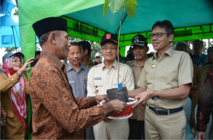 Inovasi Dapat Tingkatkan Hasil  Pertanian  UTUSAN INDO